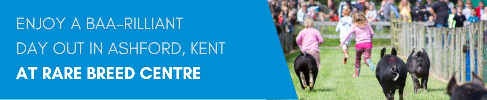 Rare Breed Centre, Ashford, Kent